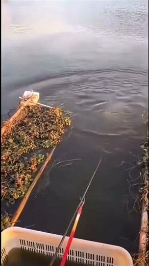 Cre ai thì quên rồi:)