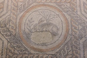 Hares in Roman Art by Isobel Wilkes - Corinium Museum