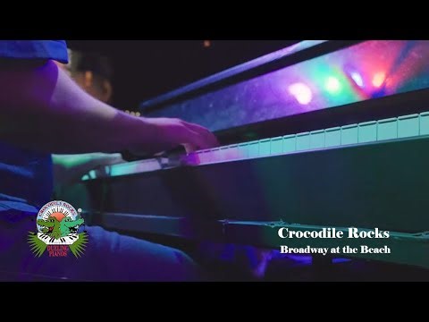 Crocodile Rocks