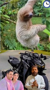 1.2M views · 10K reactions | Very strange animals with different behavior | Ayanuzmavlogs | Facebook