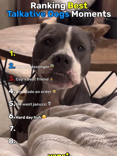 Best Talking Dog Moments Ranked