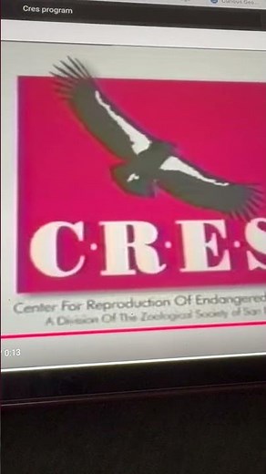 C.R.E.S Program/Barney Home Video/DKP Studios/Standard Publishing (1994)