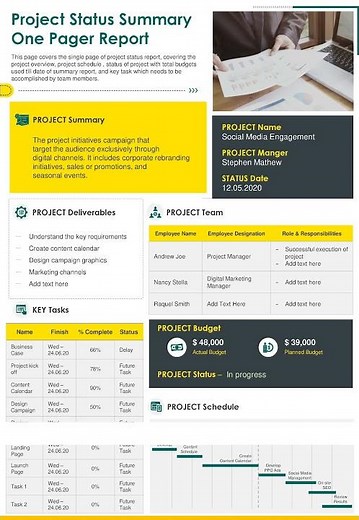 Project Status Summary One Pager Report Presentation Report Infographic Ppt Pdf Document