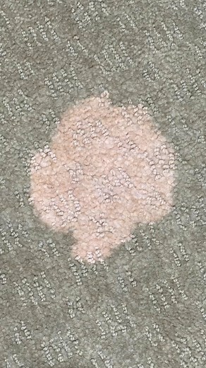Responding to nasty wasty comments | The Carpet Repair Guys