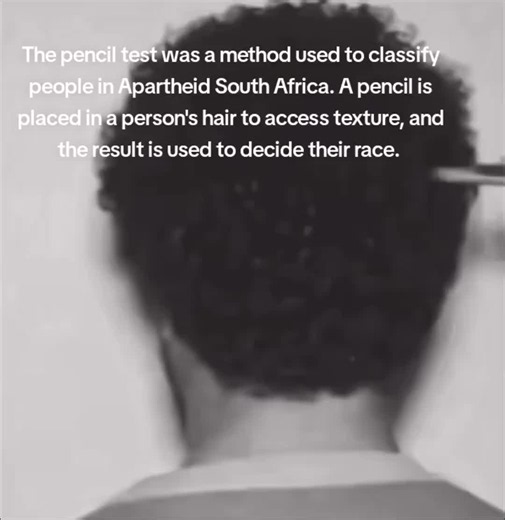Sandra Laing was born in apartheid South Africa in 1955 to parents who were legally classified as white, yet her darker appearance led authorities to classify her as “coloured.” At school, she was removed from the white school she had been attending, and her family spent years challenging the classification. Although she was eventually reclassified as white at 17, Sandra’s story continued to be shaped by the racial categories imposed by the apartheid system, including how she was treated by inst