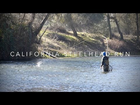 California Steelhead Trout Fishing - Mokelumne River Floating