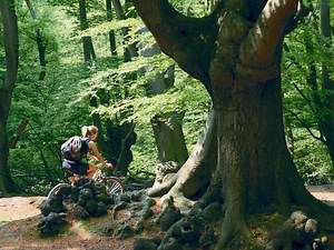 Walthamstow area guide - best things to do, see, eat and drink  - Time Out London