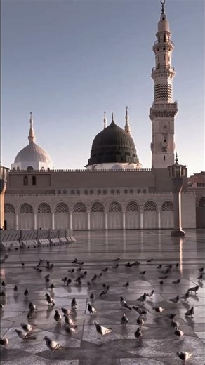 Moula Ya Salli Wa Sallim ❤️ | Most Peaceful Nasheed Ever | Soul Touching Salawat