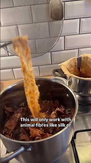 Plant Dyeing Sari Silk With Onion Skins | Natural Dyeing Tutorial and Textile Art Process