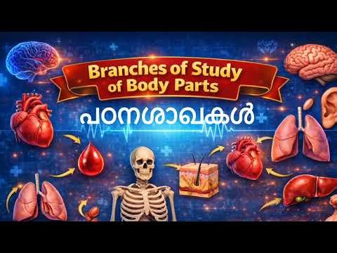 പഠനശാഖകൾ 📗 PSC PYQ 📗 FOLLOW FOR MORE 📗#viral #youtubeshorts #ytshorts #ssc #psc #mocktest