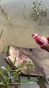 This is insane feeding fish and then feeding the party guys #feedingfish #party #funnymeme #laughter #holdonguys #crazy #memeoftheday #viral #captionthis #fbreels | Zunanah