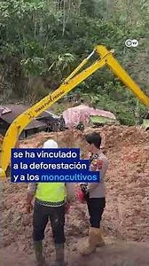 Deforestación y monocultivo podrían provocar deslizamientos en Sumatra