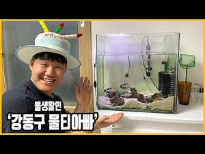 [물생활인의 삶] 강동구 물티아빠, 초보들에겐 물티가 최고죠!!!