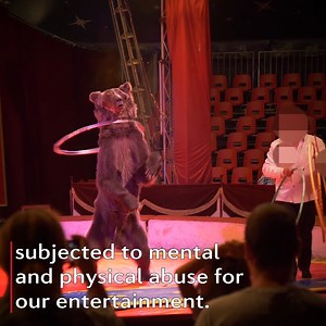 4.9K reactions · 4.4K shares | ⬛◼▪ #RuthlessTourism in Europe! 麟 ...