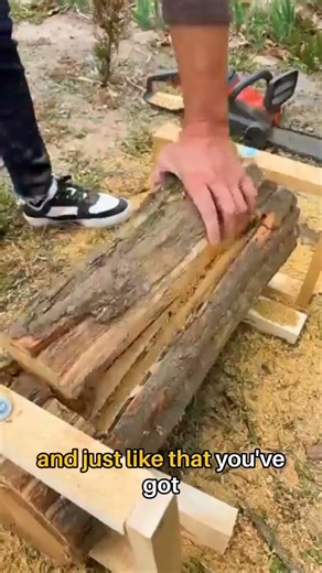 Campfire Inside a Log