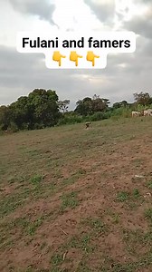 #Security_Alert Lalate - Eruwa road in a serious danger right now. Fulani heardmen invaded their farm settlement and this happened. Please kindly share this video to sensitize our people especially in Oyo State that these bandits are now fully on ground to strike at any time T. Please. Overnight about 2 days ago was like an America film in Lalate Eruwa axis. This is no more a rumour. Don't wait until it gets to you. Let all our security personnels be reinforced and defend our land. I talk my own
