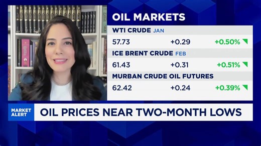 OPEC helped to minimize volatility in oil trade this year: Analyst