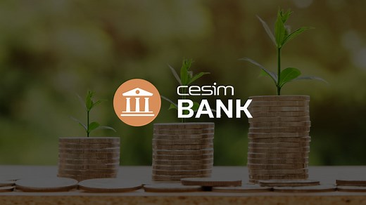 Banking & Financial Services Simulation | Cesim Bank