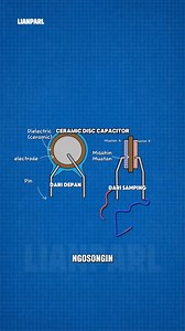 Basic Capacitor -Part 1 #lianparl | Lianparl