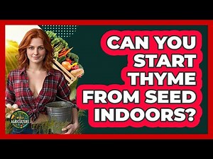 Can You Start Thyme From Seed Indoors?