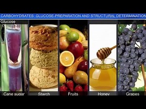 CBSE Class 12 Chemistry || Biomolecules || Full Chapter || By Shiksha House