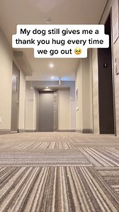 220622_The purest soul 😭❤️ #puppylove #doglover #doglove #fyp #lunatheminicockapoo #minicock | Luna Cockapoo