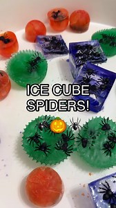 🕸️🕷️DIY ICE CUBE SPIDERS!🎃 these are easy to make and oh-so-fun to play with! ➡️Follow @lovebloomlearn for more easy play ideas! 🧚‍♀️ To recreate this activity, make ice cubes using water with food colouring and spiders. Let freeze! 🥶 once ready, add spray bottles, hammers, and droppers to a tray! Use warm water to help with melting. Have fun! 😍 tray from @inspiremyplay 👶🏼👶🏽👶🏾Activity is recommended for toddlers . An adult should supervise all activities. ✨🌈For more easy play ideas,