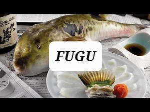 The Deadly Delicacy: Fugu - Japan's Poisonous Pufferfish