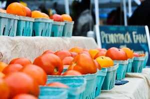 Financial management resources available for beginning farmers