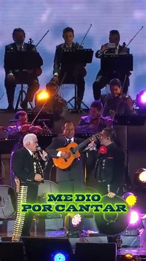 PALOMA QUERIDA #lyrics #regionalmexicano #purocorazon #corridos #cantautormexicano #musica