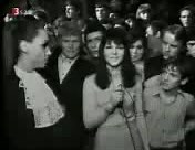 the animals (beat club)-CC Rider