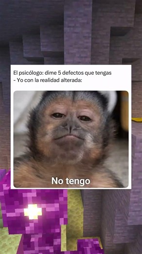 Memes Graciosos #1467