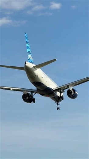 Low Approach Plane landing Ronald Reagan Washington National Airport arrival. #POPJET