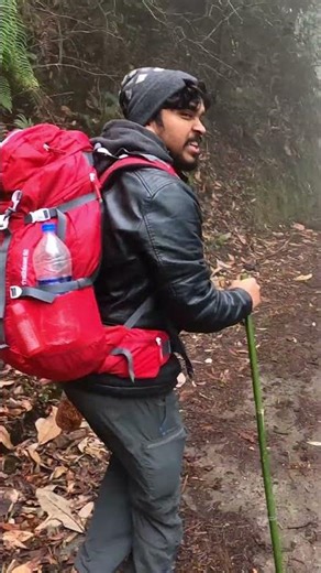 7 days, 74 KM Sandakphu Trek | Jiwan Ghosal