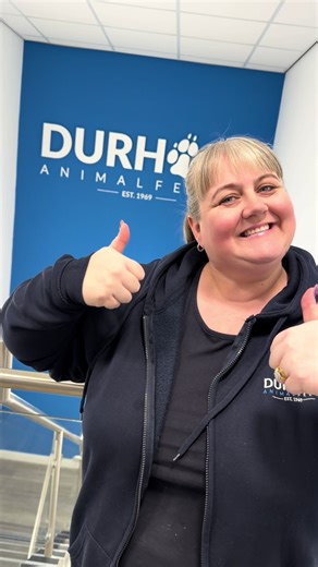 Join the raw-evolution! Become a stockist or let us know if your local pet show doesn’t stock DAF raw and treats and we will give them a shout for you! #rawstockist #drytreats