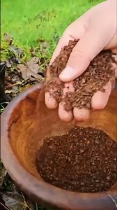 Making Coffee in the Wilderness: Campfire Coffee Guide! #shorts