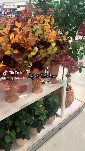 Target Fall Decor 2025: Cozy Aesthetic Ideas