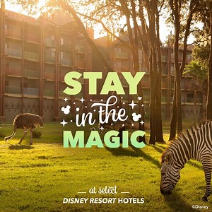 292 reactions · 13 shares | Florida Residents, stay for more magic this fall and save up to 25% on rooms at select Disney Resort hotels. | Walt Disney World | Facebook