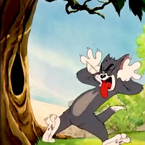 222K views · 6.5K reactions | Fun cartoons nobody hurt and really enjoyable movies | Cartoon Videos | Facebook