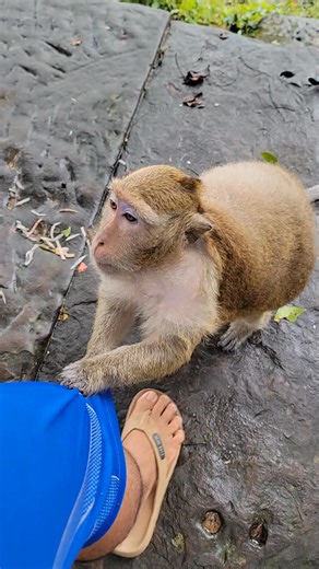 Brinn don't pull my clothes | Hand Products