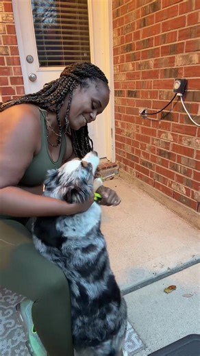 Dog Grooming: How to Effectively Brush Your Shedding Dog