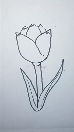How to Draw a Tulip Flower with Simple Shapes | Easy Drawing for Kids#EasyDrawing#TulipDrawing