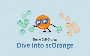 【转载】Orange单细胞分析官方入门教程 Single Cell Orange
