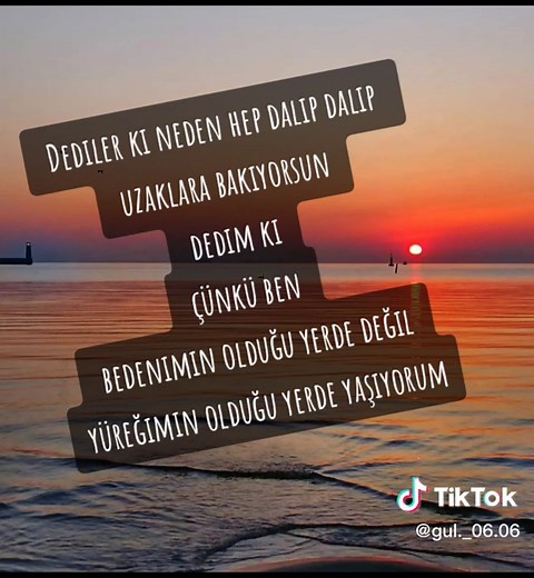 GÜL on TikTok