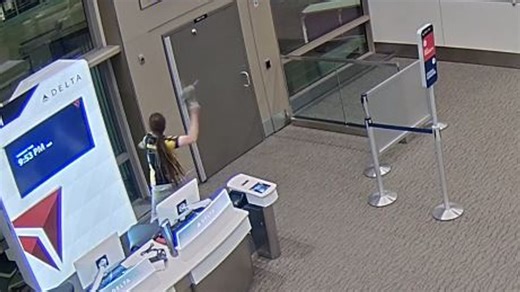 VIDEO: Man tries opening secure airport doors & windows, before death in airplane engine