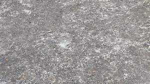 #xhtiktok #siriusđộkiểng #tlpm