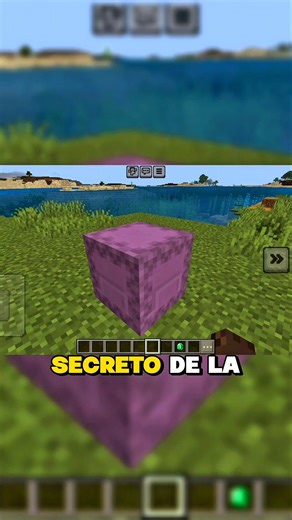 This is the secret of the shulker box in Minecraft!