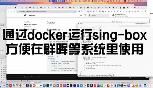 通过docker运行sing-box 方便在群晖等系统里使用