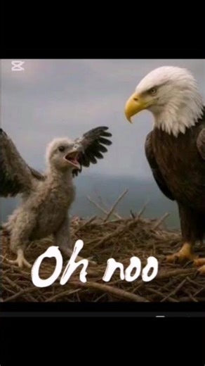 Top 3 animals with the worst parents