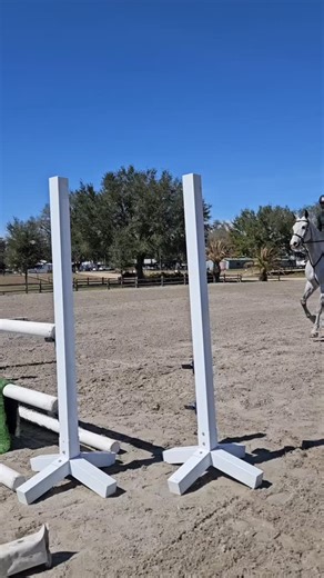 Our business model focuses on sales, but with that are the countless hours of training and preparation to produce the best horse for their next partner! One of our lovely sales horses, Chacorie M, putting in some nice trips today in the 3' green hunters! | Helen Goddard Inc